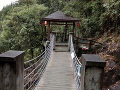 -九龙江国家森林公园