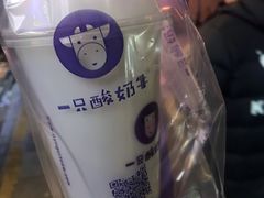 -一只酸奶牛(八一路店)