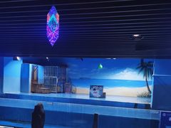 -沙沙哗啦海洋馆(华宇百花谷店)