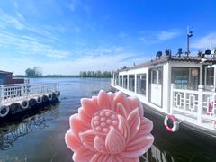 -白洋淀景区