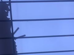-牛武士寿喜烧·和牛火锅自助(全球首店)