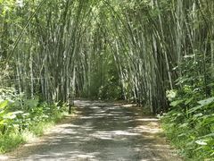 -海南热带野生动植物园