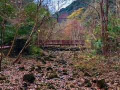 -天明山温泉大酒店