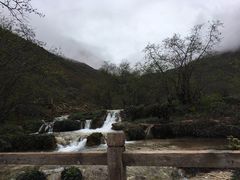 -黄龙山原始森林景区