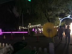 -枫花园汽车电影院(朝阳公园店)