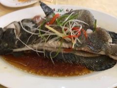 清蒸石斑-晋阳饭庄(虎坊桥店)