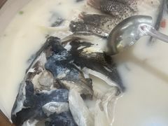 -全乐鱼馆·淳牌有机鱼直营店