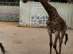 -泉州海丝野生动物世界