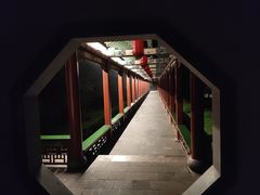 -迎泽公园