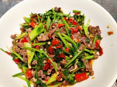 香菜炒牛肉-壹盏灯(蚂蚁工房店)