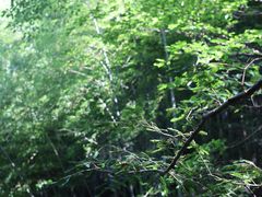 -藏龙百瀑风景区