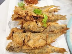 -郭姐·威海渔村(黄兴路店)