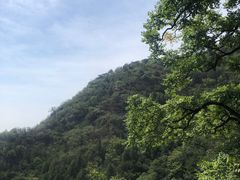 -北京鹫峰国家森林公园