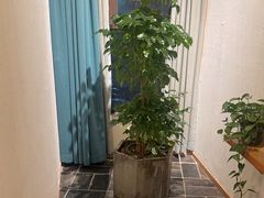-瓦舍茶馆(聚源路店)