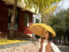 -洛阳白云山景区