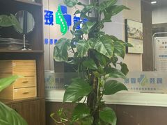-肩颈管家·肩颈调理·经络养生(华景新城店)