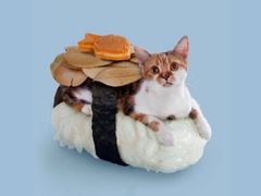-椿山日本料理
