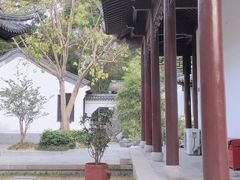 -深圳国际园林花卉博览园