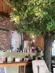 -WPlus明星肖像亲子全家福摄影