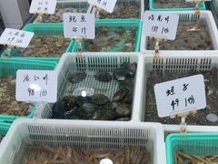 -丽华家常菜(北马路店)