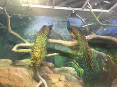 -福州罗源湾海洋世界旅游区