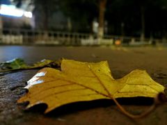 -江苏省美术馆(长江路新馆)