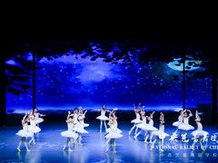 -中央芭蕾舞团·中芭艺蕾(酒仙桥明星校区)