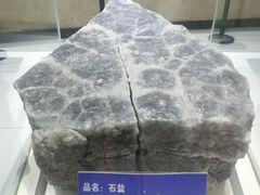 -青藏高原自然博物馆