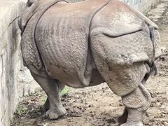 -上海野生动物园