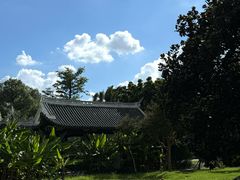 -江心屿景区