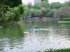 -晓港公园