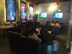 -鱼映像摄影·珍藏级影像品牌