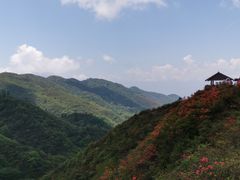 -大围山国家森林公园