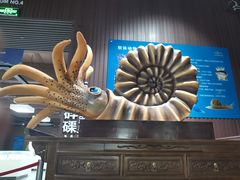 -贝壳王国博物馆
