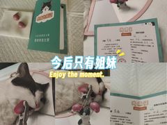 -瑞派宠物医院·犬猫全科·猫友好(宾水西道店)