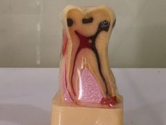 -青岛市口腔医院(总院)