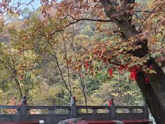 -终南山南五台景区