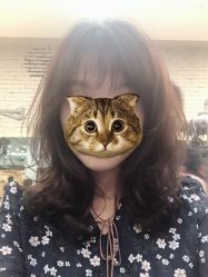 -HairCode芭曲发型