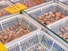 -老伙记海鲜码头(北滘店)