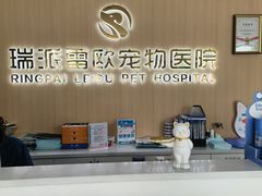 -瑞派雷欧宠物医院·24h夜诊·心脏骨科牙科·全科重症转诊中心(无影山店)