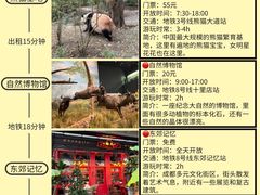 -春熙路步行街