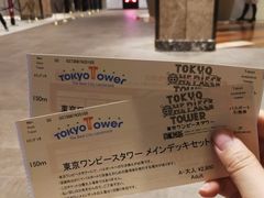 -东京塔海贼王主题公园