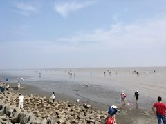 -南汇嘴观海公园