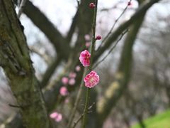 -溪口-滕头旅游景区