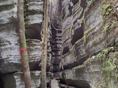 -梭布垭石林景区