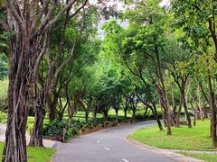 -深圳国际园林花卉博览园