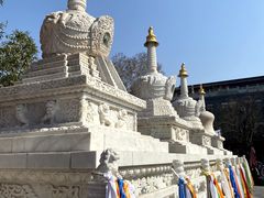 -西安市广仁寺
