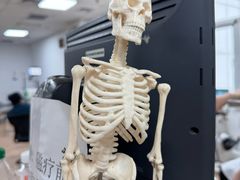 -中国中医科学院望京医院(院本部)
