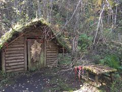 -峡谷浮石林景区