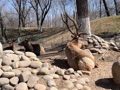 -北京野生动物园